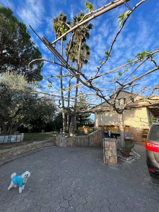 Casa Parra Villa Делтебре Екстериор снимка